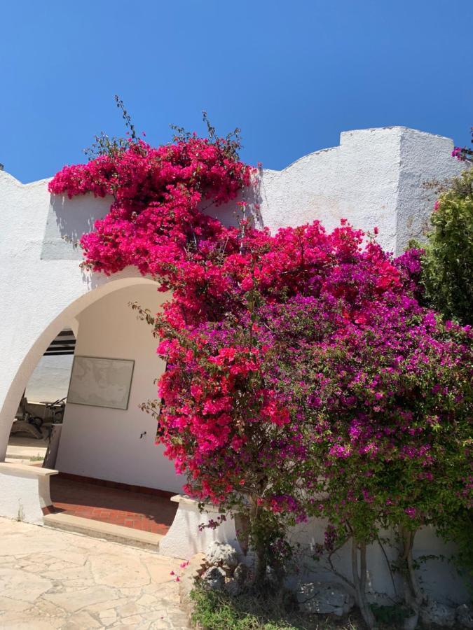 Villa Cecilia Polignano a Mare Dış mekan fotoğraf